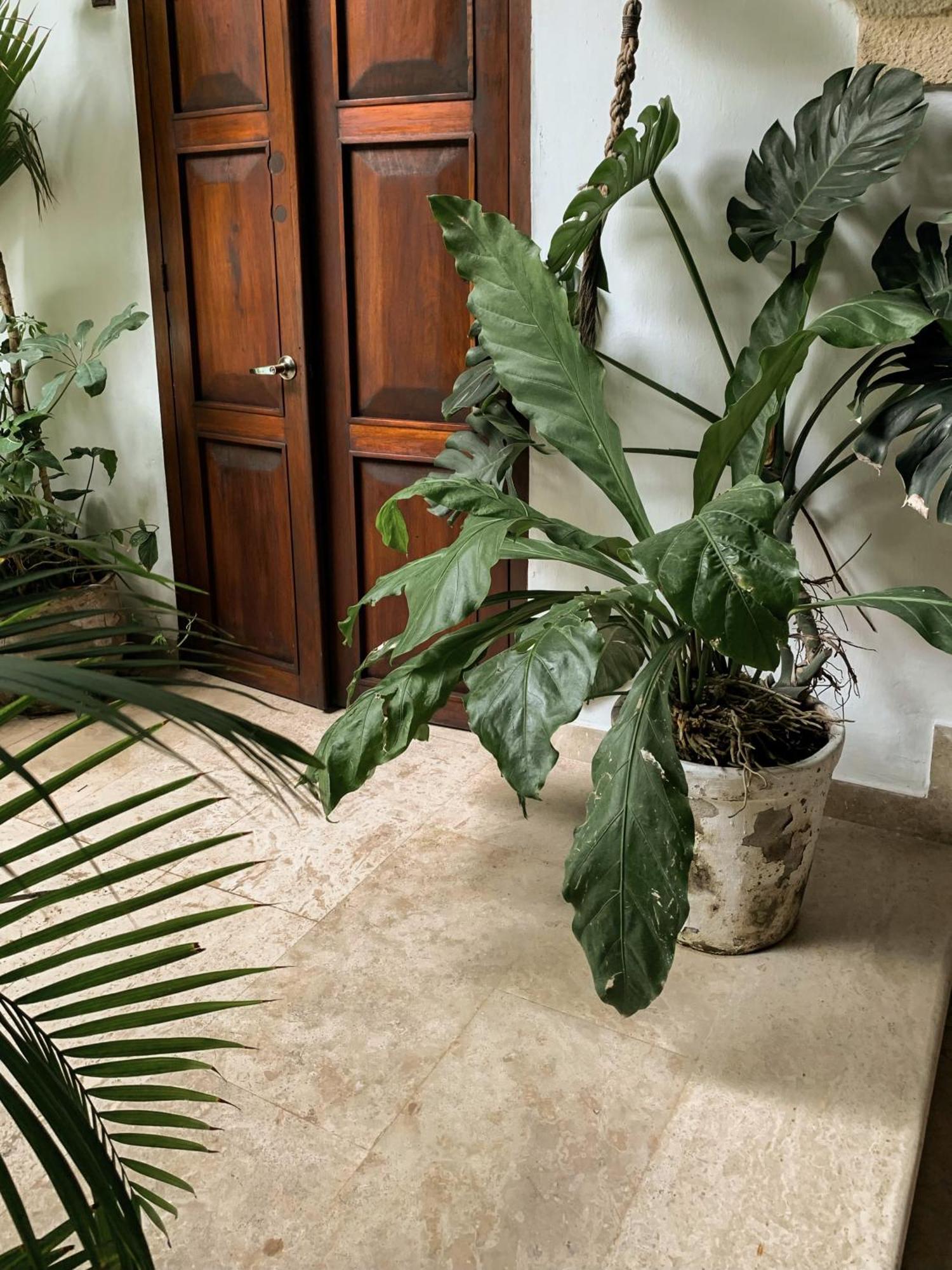 Hotel Boutique Casa Del Arzobispado Cartagena Dış mekan fotoğraf